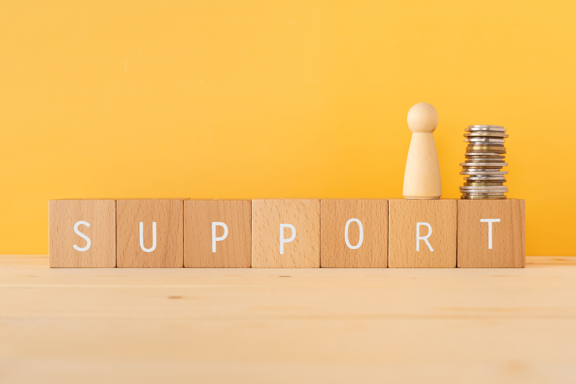 補助金を活用して介護ソフトを導入する方法