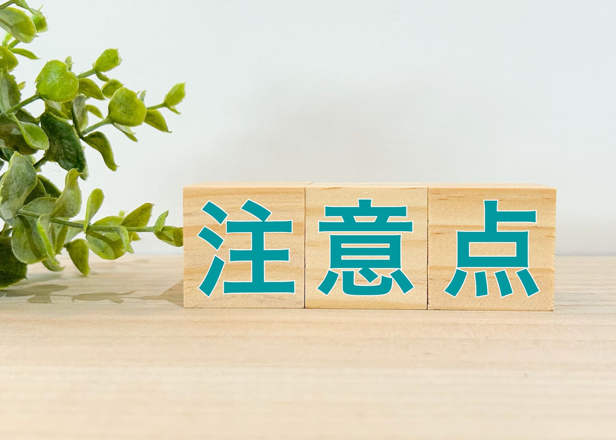 導入前に見ておきたい“導入の注意点”のイメージ